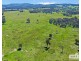 517B Bungulla Platform Road, Tenterfield NSW 2372