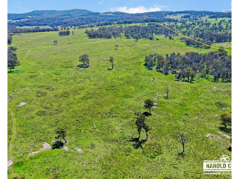 517B Bungulla Platform Road, Tenterfield NSW 2372