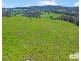 517B Bungulla Platform Road, Tenterfield NSW 2372