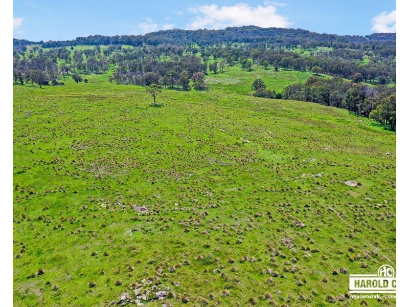 517B Bungulla Platform Road, Tenterfield NSW 2372