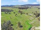 517B Bungulla Platform Road, Tenterfield NSW 2372