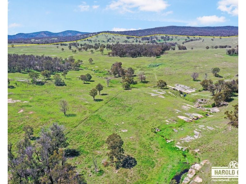517B Bungulla Platform Road, Tenterfield NSW 2372