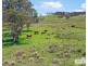 517B Bungulla Platform Road, Tenterfield NSW 2372