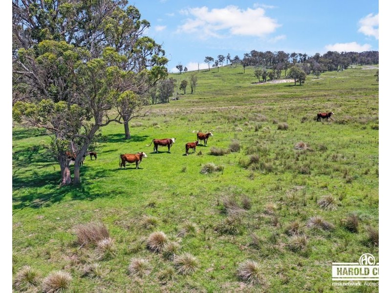 517B Bungulla Platform Road, Tenterfield NSW 2372