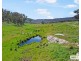 517B Bungulla Platform Road, Tenterfield NSW 2372