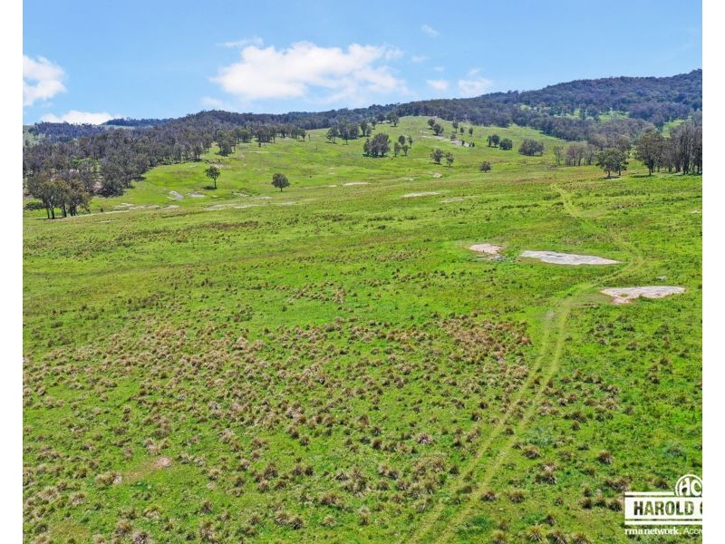 517B Bungulla Platform Road, Tenterfield NSW 2372
