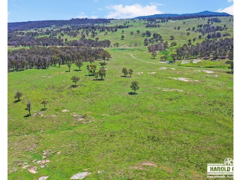517B Bungulla Platform Road, Tenterfield NSW 2372