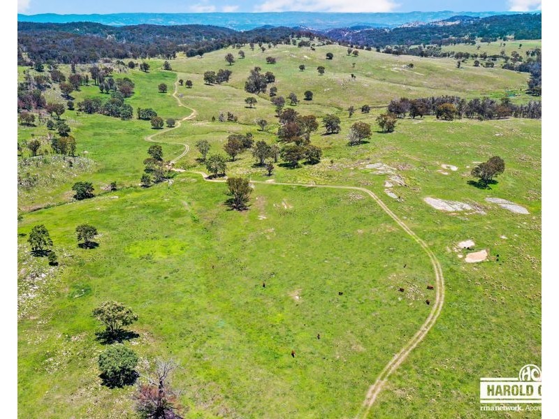 517B Bungulla Platform Road, Tenterfield NSW 2372