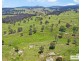 517B Bungulla Platform Road, Tenterfield NSW 2372
