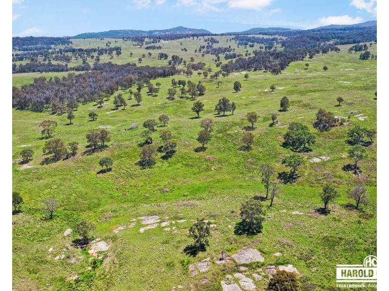 517B Bungulla Platform Road, Tenterfield NSW 2372