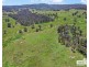 517B Bungulla Platform Road, Tenterfield NSW 2372