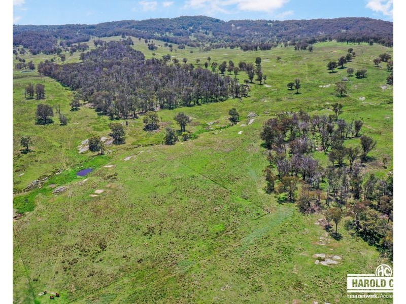 517B Bungulla Platform Road, Tenterfield NSW 2372