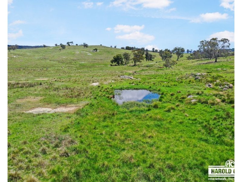 517B Bungulla Platform Road, Tenterfield NSW 2372