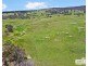 517B Bungulla Platform Road, Tenterfield NSW 2372