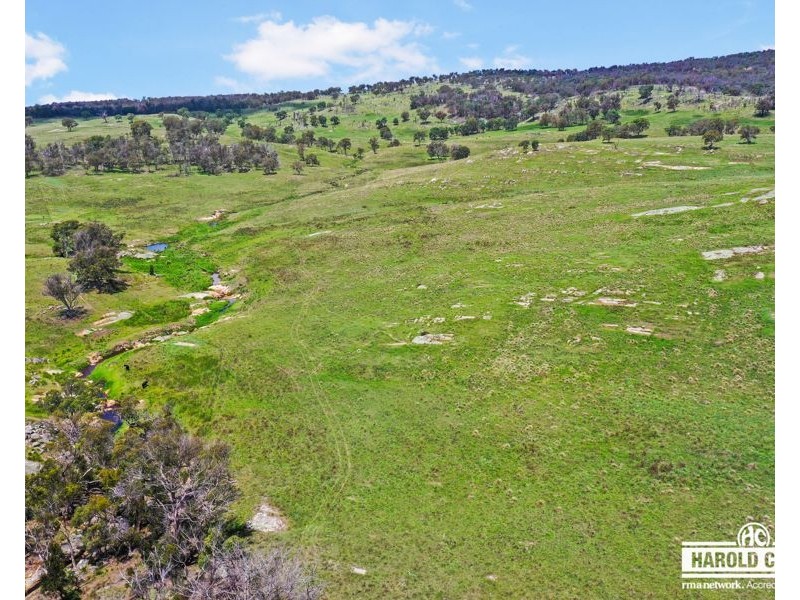 517B Bungulla Platform Road, Tenterfield NSW 2372