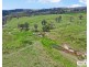 517B Bungulla Platform Road, Tenterfield NSW 2372