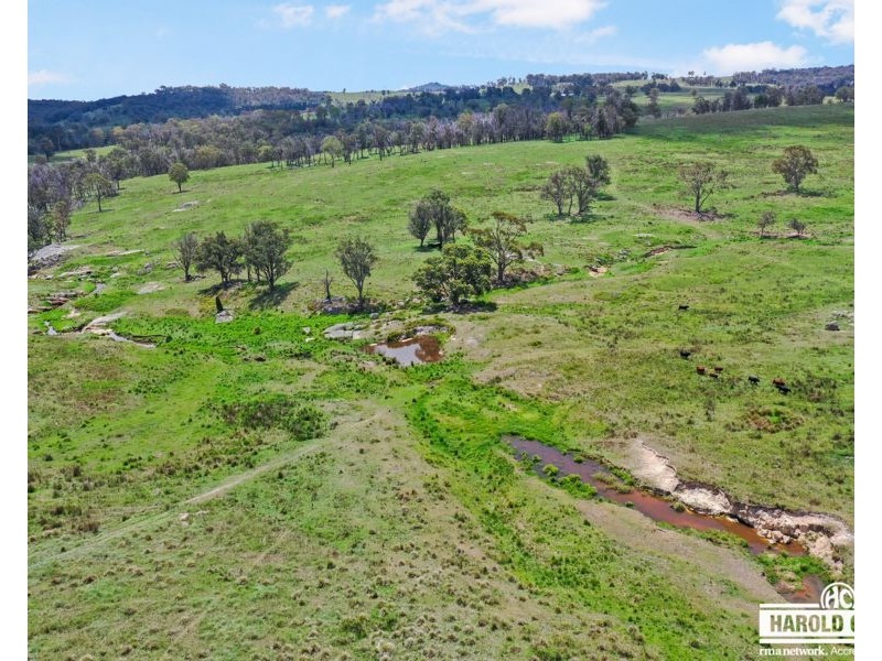 517B Bungulla Platform Road, Tenterfield NSW 2372