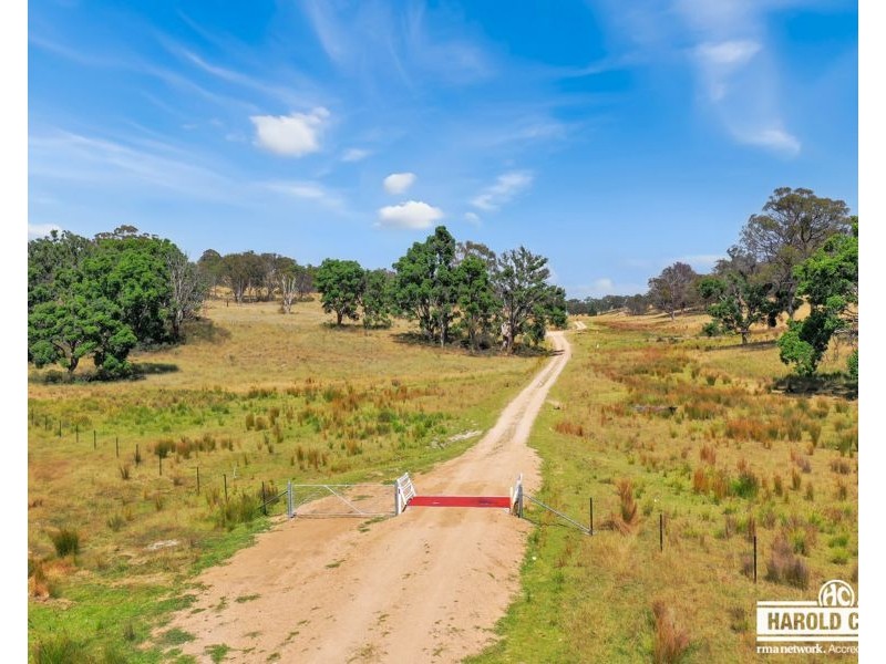 53 McCliftys Road, Tenterfield NSW 2372