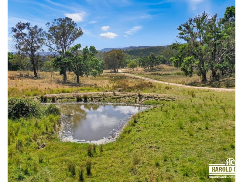 53 McCliftys Road, Tenterfield NSW 2372