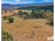 53 McCliftys Road, Tenterfield NSW 2372
