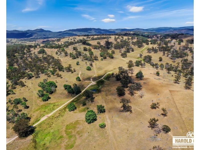 53 McCliftys Road, Tenterfield NSW 2372