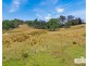 53 McCliftys Road, Tenterfield NSW 2372