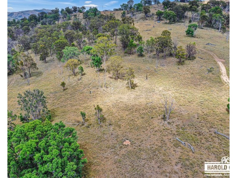 53 McCliftys Road, Tenterfield NSW 2372