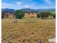 53 McCliftys Road, Tenterfield NSW 2372