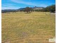 680 Sunnyside Loop Road, Tenterfield NSW 2372