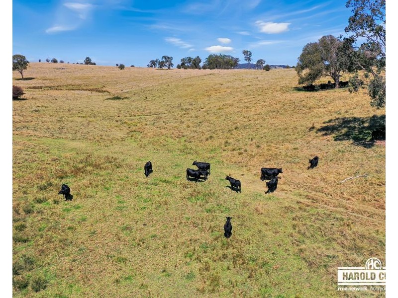 112a Black Swamp School Road, Tenterfield NSW 2372