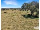 112a Black Swamp School Road, Tenterfield NSW 2372