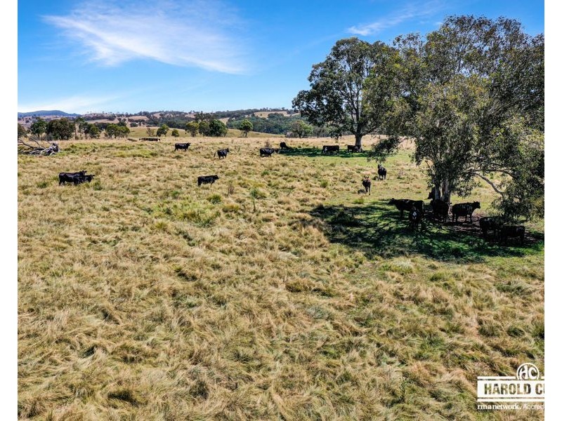 112a Black Swamp School Road, Tenterfield NSW 2372