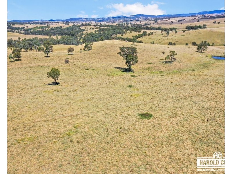 112a Black Swamp School Road, Tenterfield NSW 2372