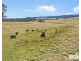 112a Black Swamp School Road, Tenterfield NSW 2372