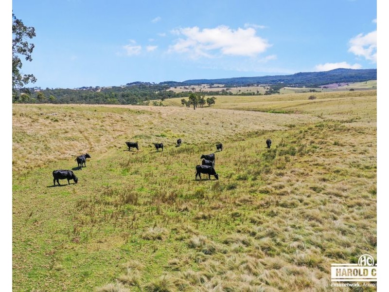 112a Black Swamp School Road, Tenterfield NSW 2372