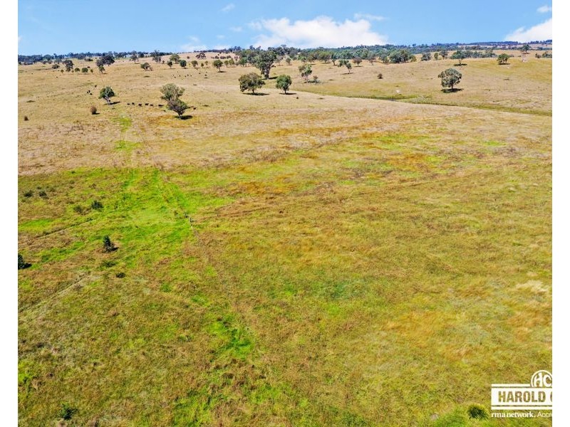 112a Black Swamp School Road, Tenterfield NSW 2372