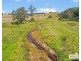 112a Black Swamp School Road, Tenterfield NSW 2372