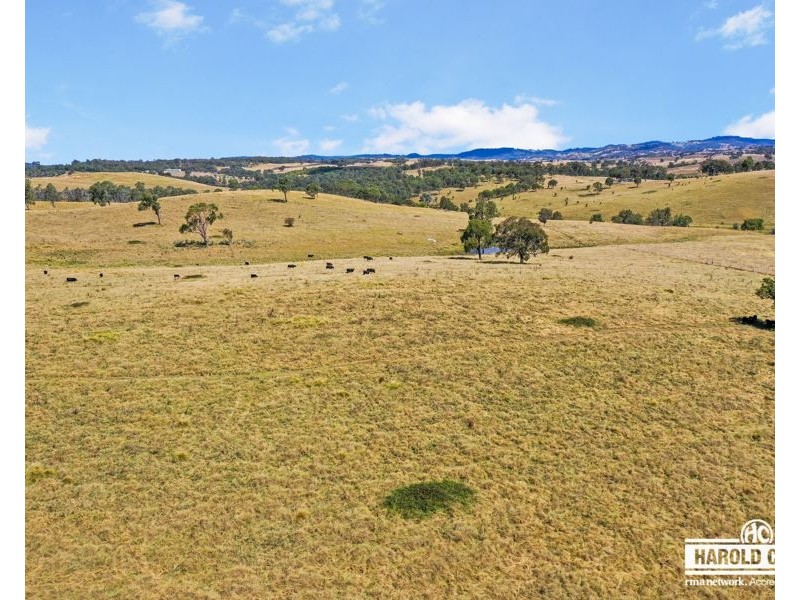 112a Black Swamp School Road, Tenterfield NSW 2372