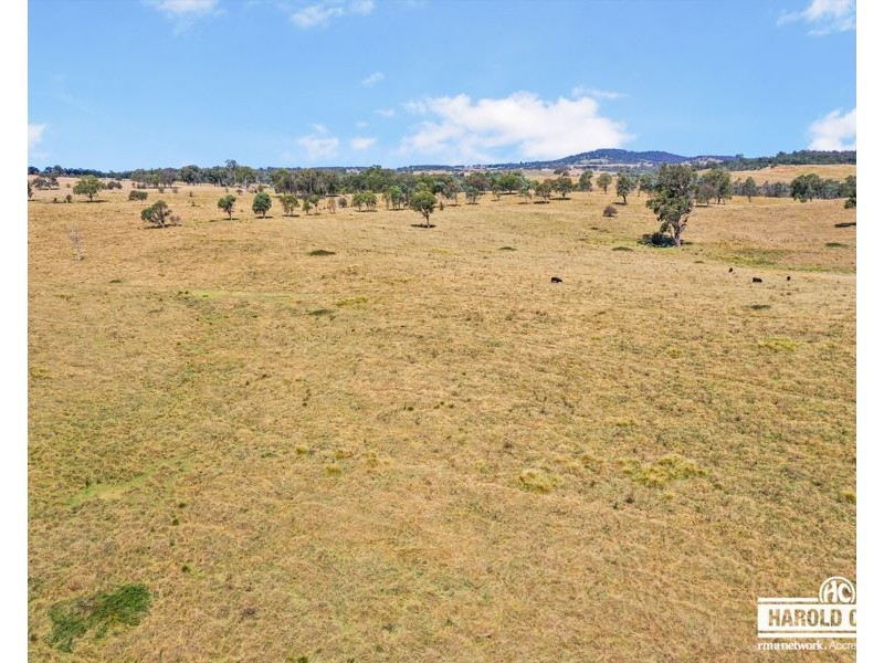 112a Black Swamp School Road, Tenterfield NSW 2372