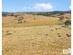 112a Black Swamp School Road, Tenterfield NSW 2372
