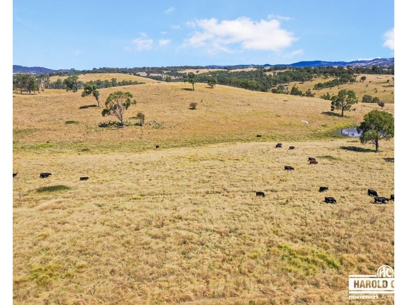 112a Black Swamp School Road, Tenterfield NSW 2372