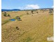 112a Black Swamp School Road, Tenterfield NSW 2372