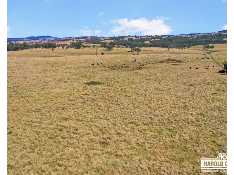 112a Black Swamp School Road, Tenterfield NSW 2372