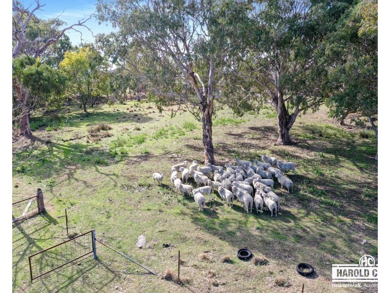 28 Neagles Lane, Tenterfield NSW 2372