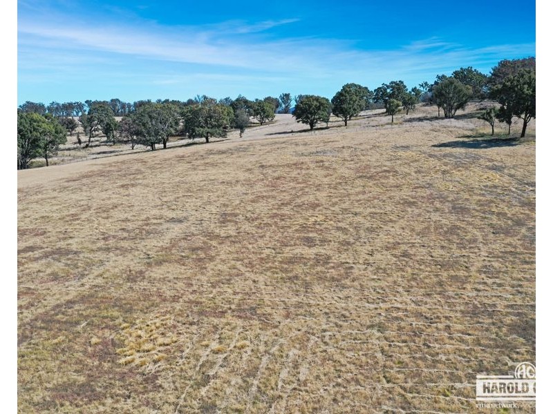 165 Roos Road, Tenterfield NSW 2372