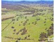 287A Mount Speribo Road Bolivia via, Tenterfield NSW 2372