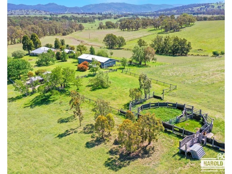 287A Mount Speribo Road Bolivia via, Tenterfield NSW 2372