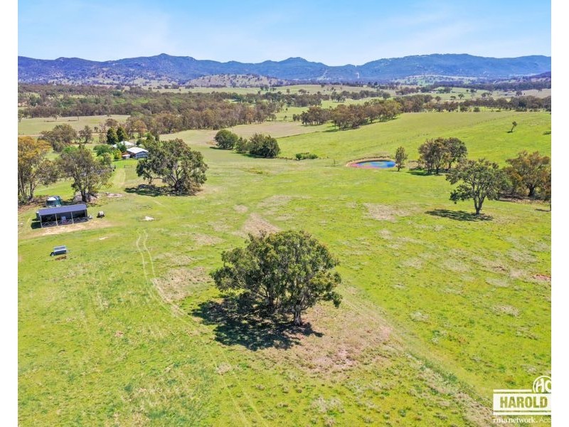 287A Mount Speribo Road Bolivia via, Tenterfield NSW 2372
