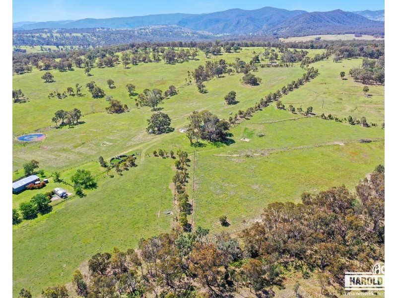 287A Mount Speribo Road Bolivia via, Tenterfield NSW 2372