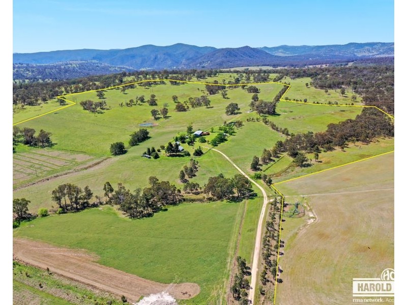 287A Mount Speribo Road Bolivia via, Tenterfield NSW 2372